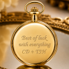 Gold Plated Half Hunter Mechanical Pocket Watch with Chain